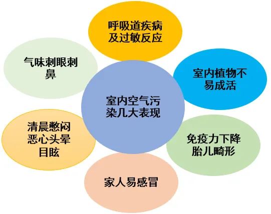 1675736878238703.jpg 5.jpg