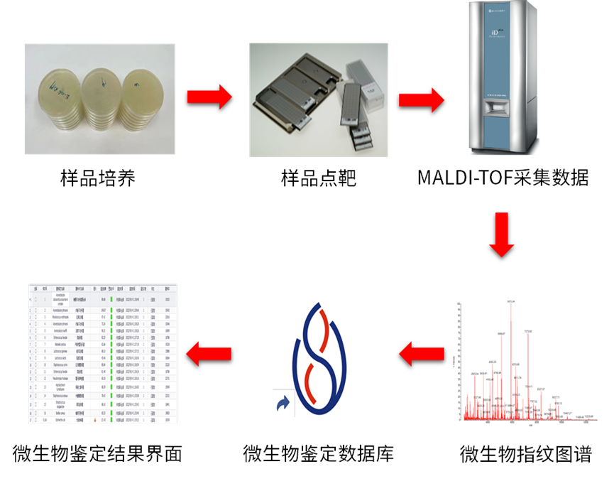 1675821856581805.png 4.png