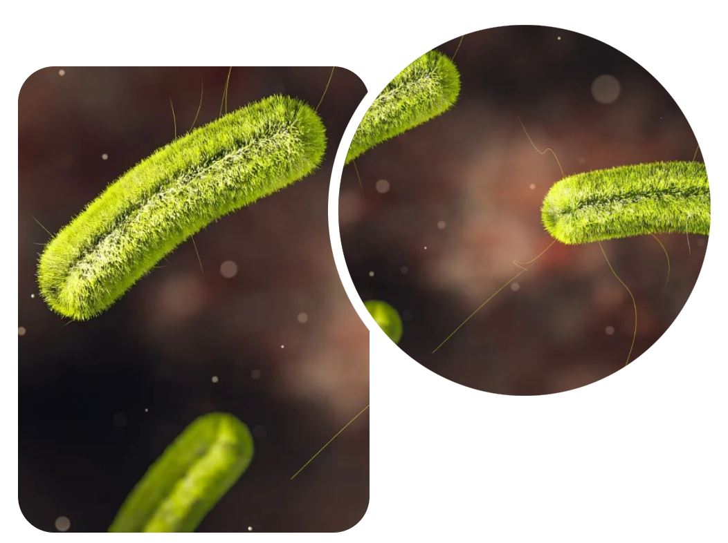 1675821870292175.jpg 5.JPG