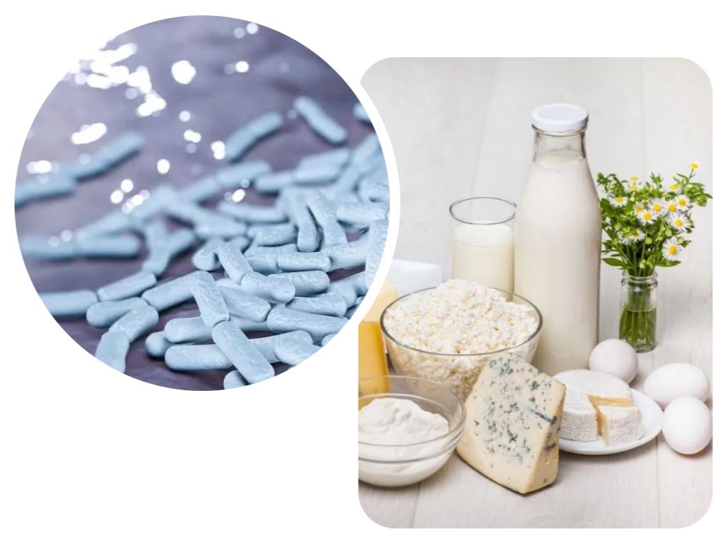 1675821910261065.jpg 8.JPG