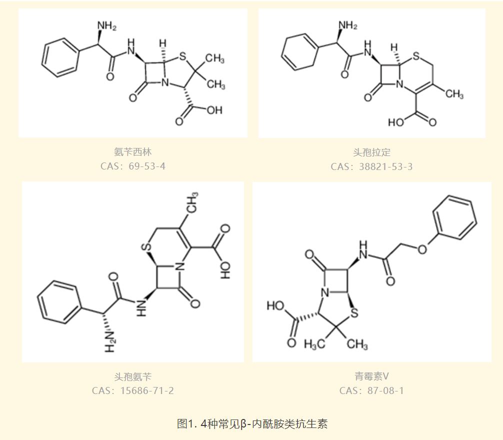 1675995028259383.jpg 3.JPG