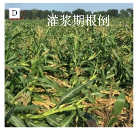 1683845105605136.png 2.png