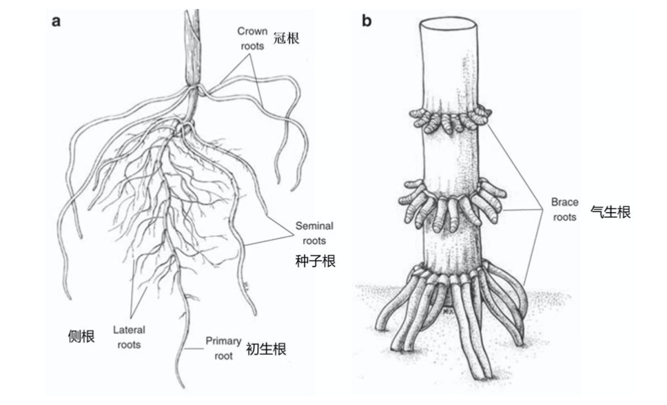 1683845115598339.png 3.png