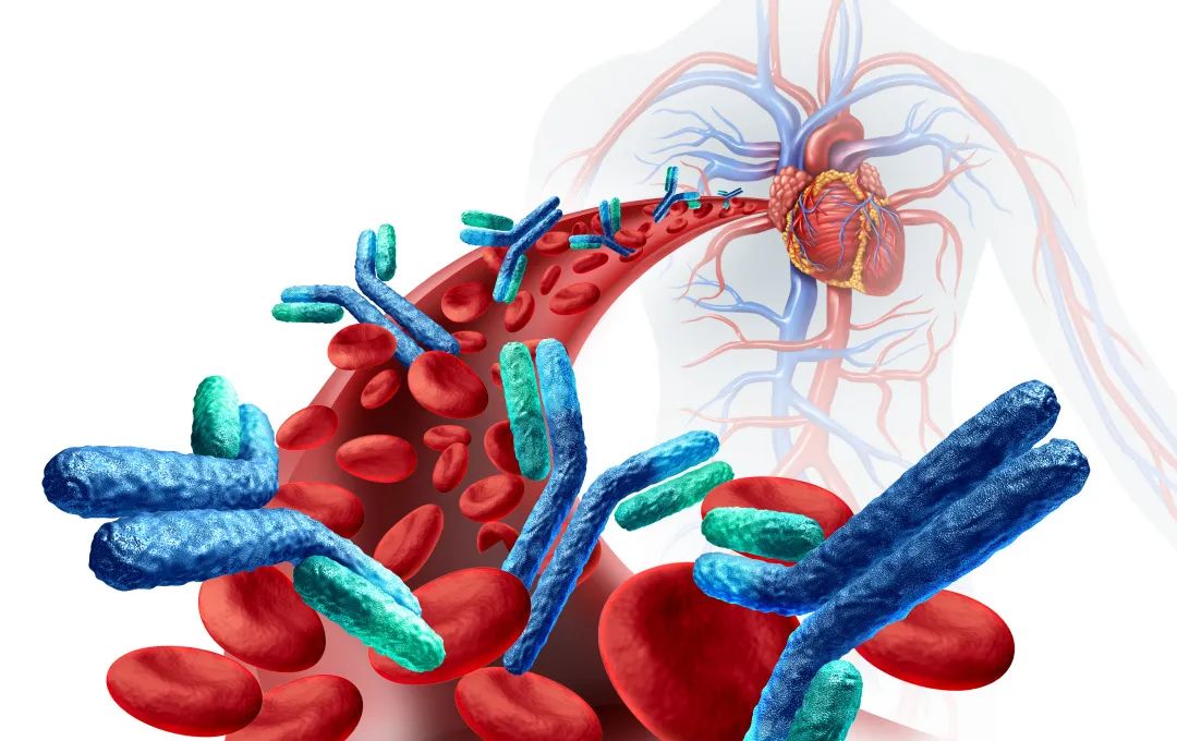 1684114035133263.jpg 1.jpg