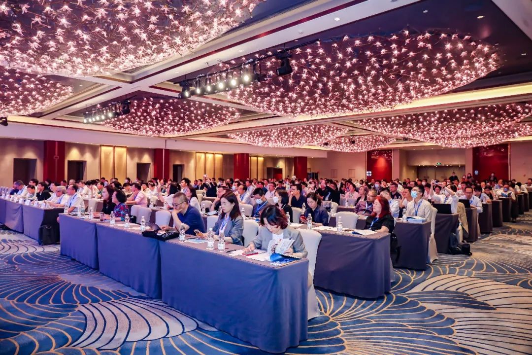 1684200393207009.jpg 2.jpg