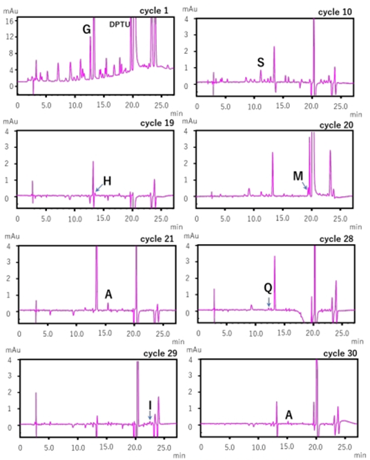 1713364356935389.png 3.png