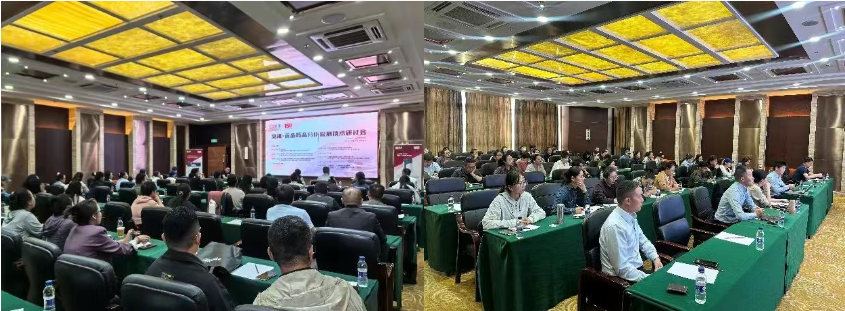 1751850310437995.png 3 .png