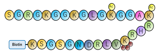 1752460179798680.png 4.png