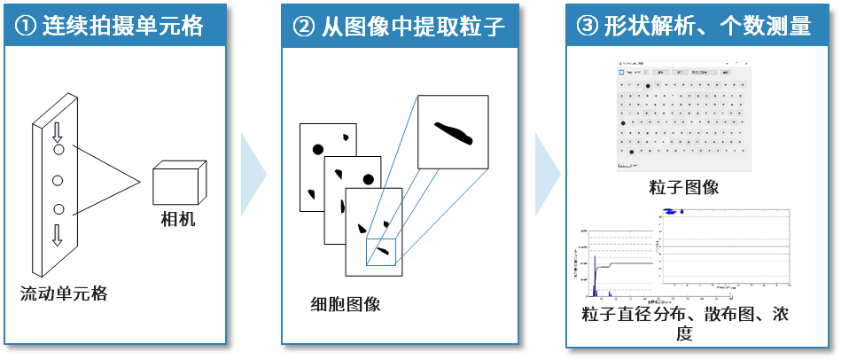 1752542188560220.png 3.png