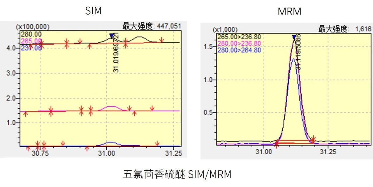 1753930539872901.jpg 6.jpg