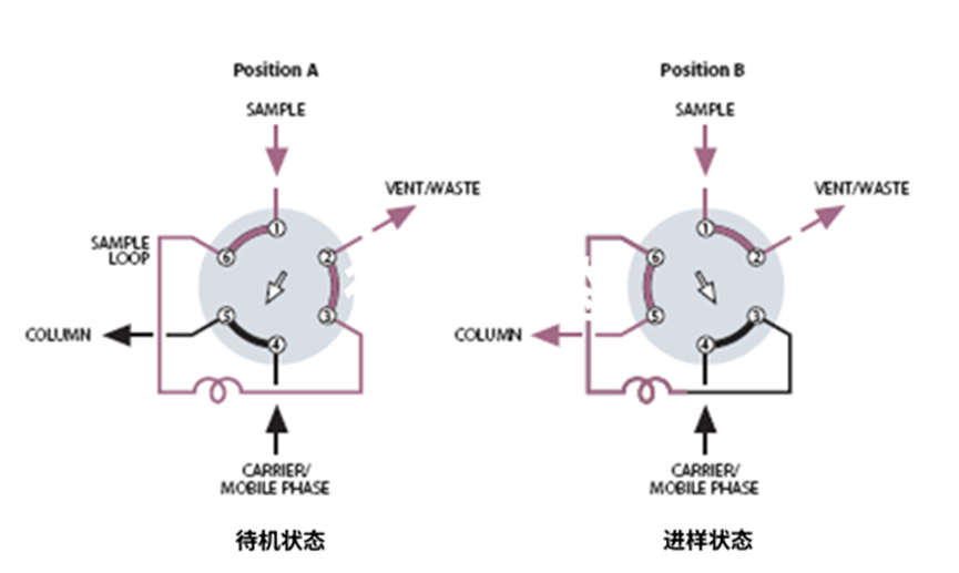 1754357748292101.png 5.png