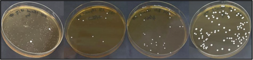 1754445273614364.png 2.png