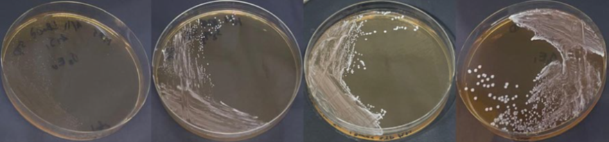 1754445287229858.png 3.png