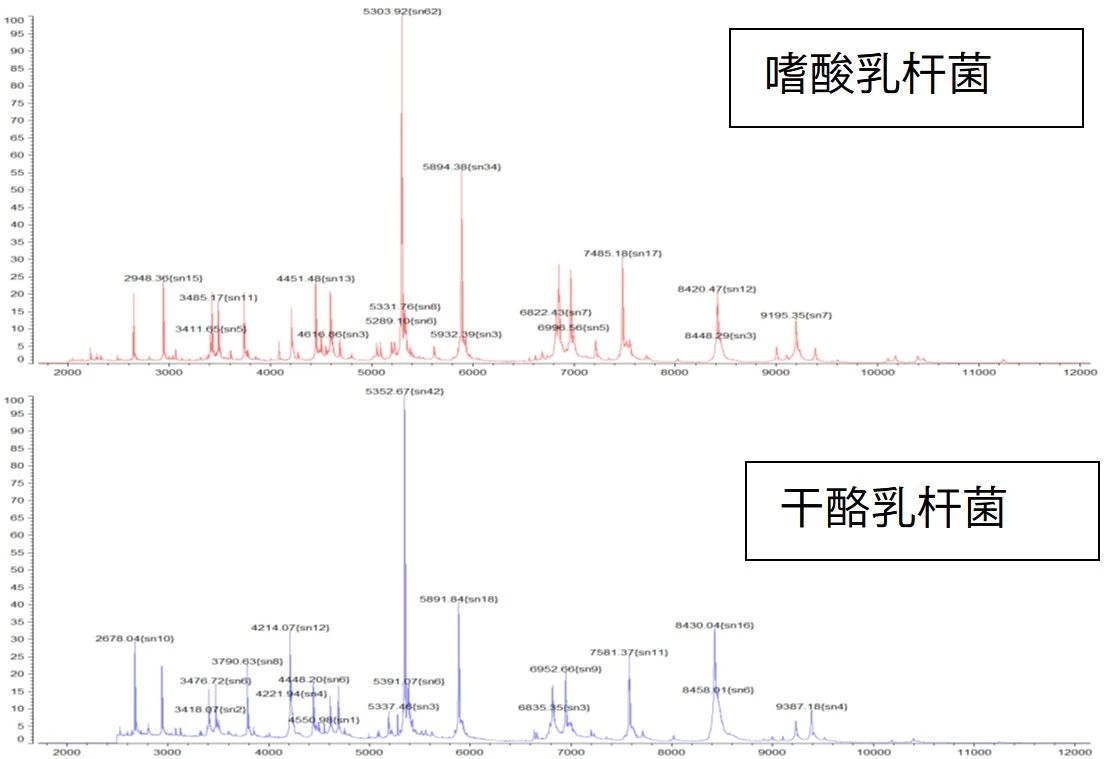 1754445307372423.jpg 4.jpg