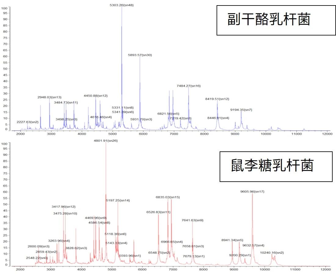 1754445326627957.jpg 5.jpg