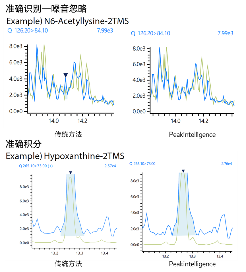 1754534169647525.png 5.png