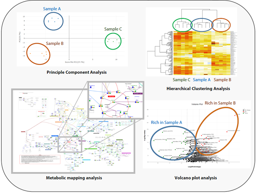 1754534197627550.png 6.png