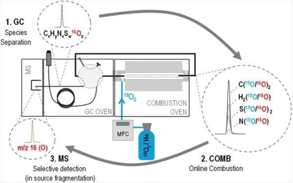 1755477726429110.jpg 5.jpg