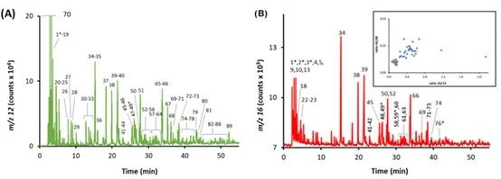 1755477746916010.jpg 6.jpg