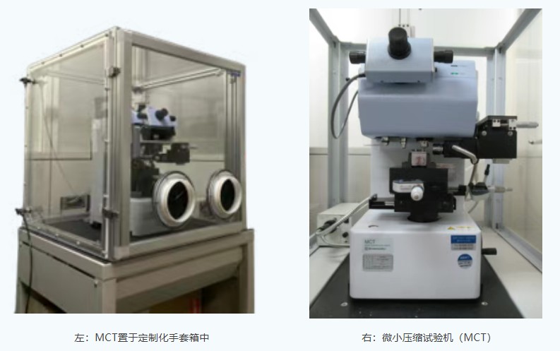 1755565577514075.jpg 2.jpg