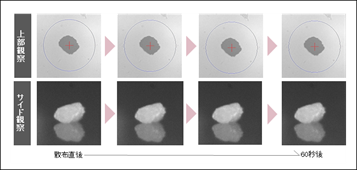 1755565589548906.png 3.png