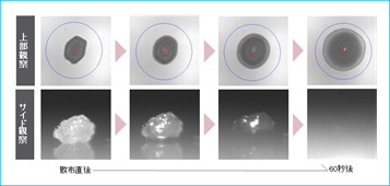 1755565596609087.png 4.png