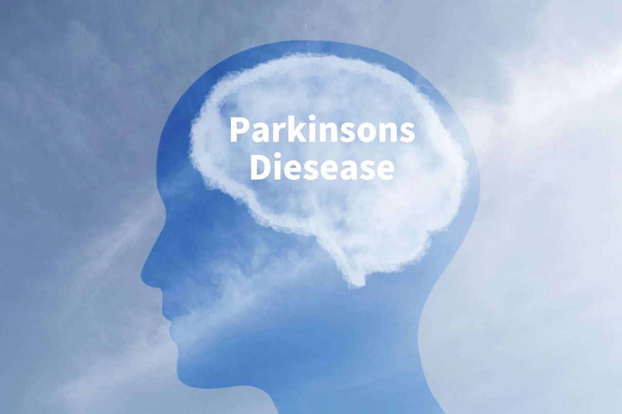 1755652182963932.jpg 3.jpg