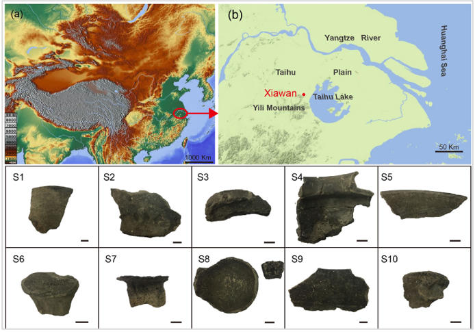 1756085818775756.png 3.png