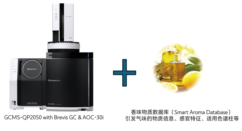 1756430350942631.png 3.png