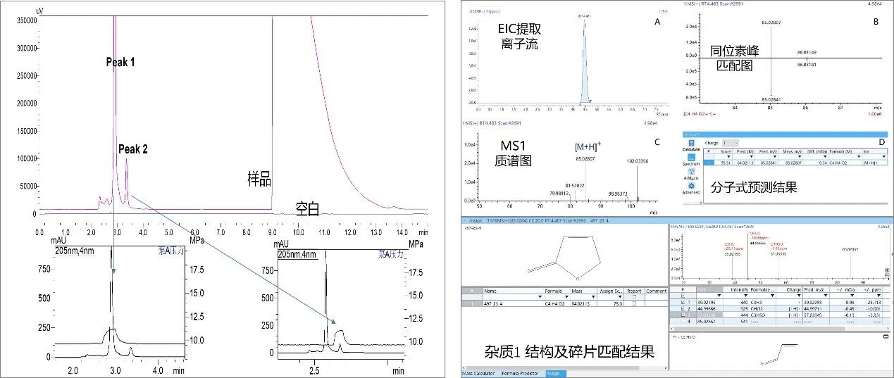 1757987426667084.jpg 6.jpg