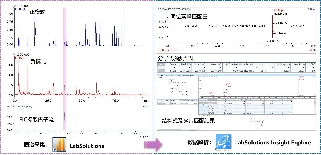 1757987455691712.jpg 7.jpg