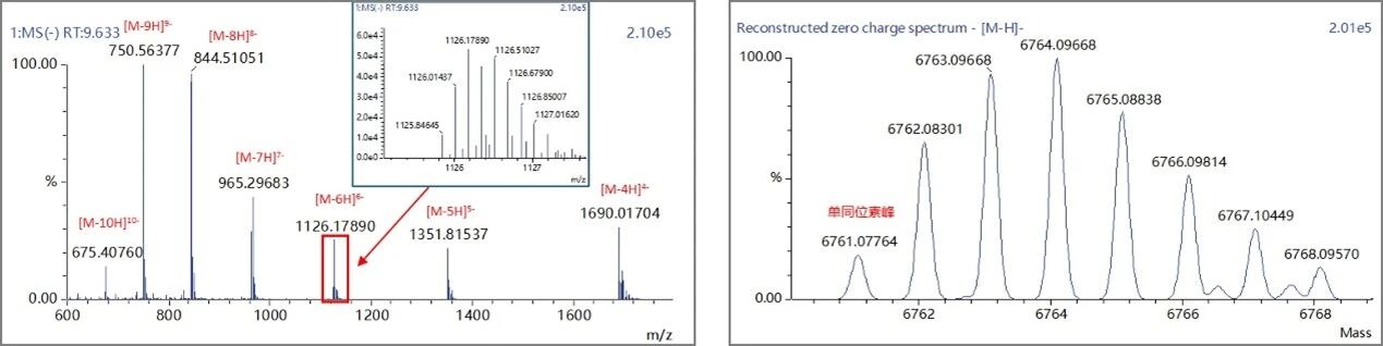 1757987580477392.jpg 10.jpg