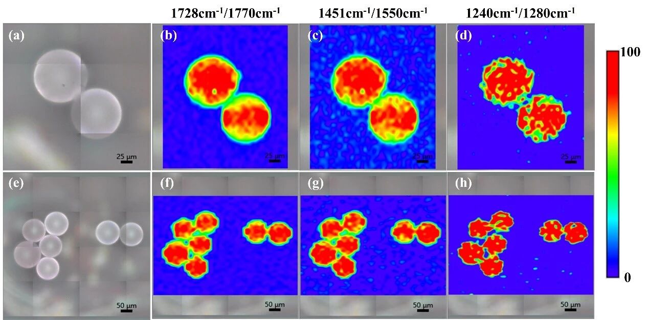 1758157596677539.jpg 3.jpg